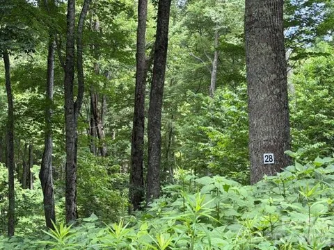 Lot 28 Toi Trail #28