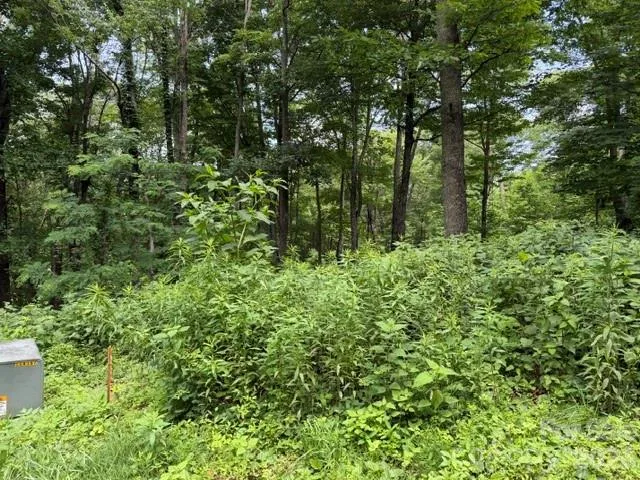 Lot 28 Toi Trail #28 Maggie Valley, NC 28751