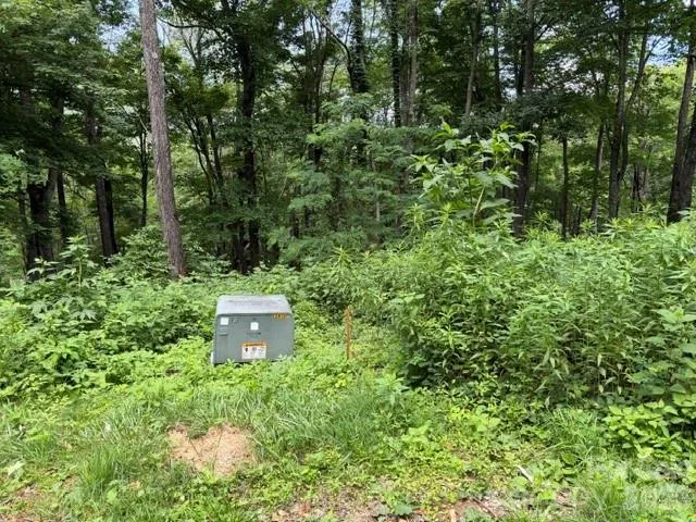Lot 28 Toi Trail #28 Maggie Valley, NC 28751