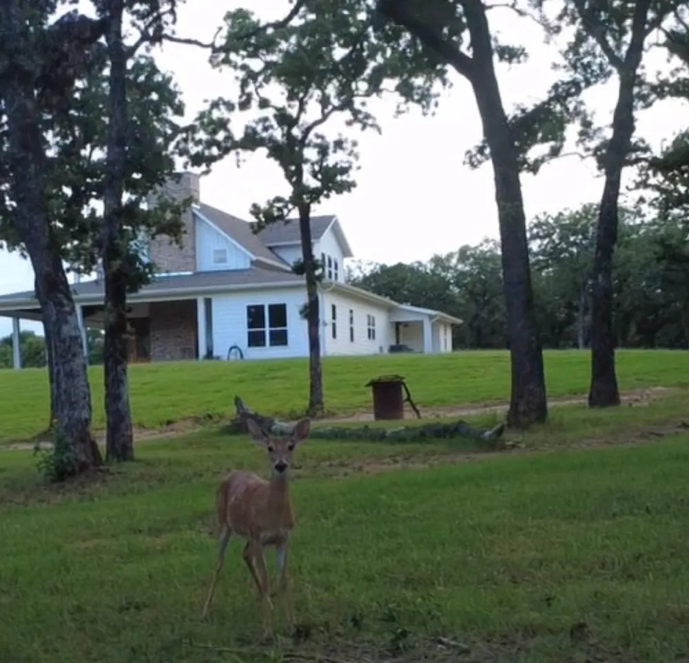 2094 Jim Harry Loop Sunset, TX 76270
