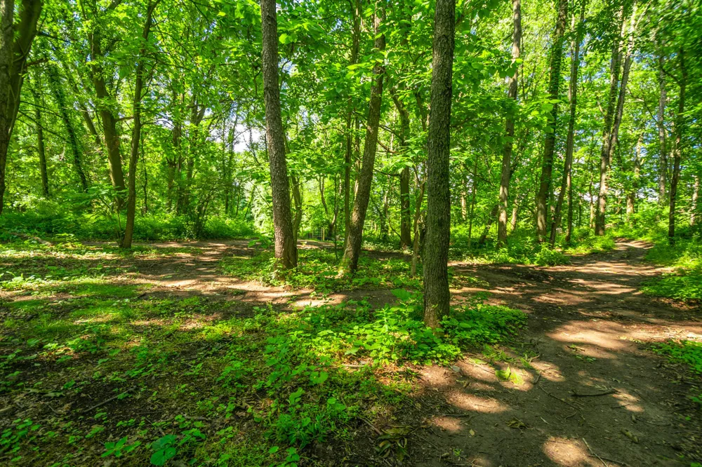 8765 M 66 East Leroy, MI 49051