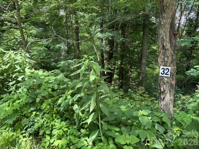 Lot 32 Toi Trail #32 Maggie Valley, NC 28751