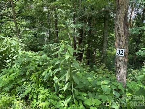 Lot 32 Toi Trail #32