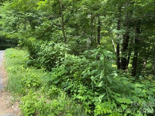 Lot 32 Toi Trail #32 Maggie Valley, NC 28751