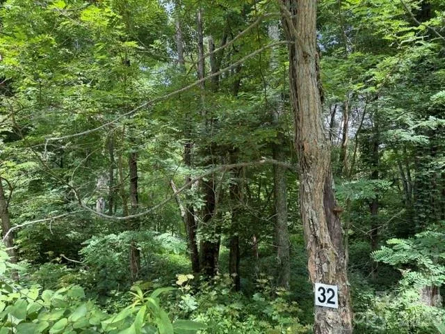 Lot 32 Toi Trail #32 Maggie Valley, NC 28751