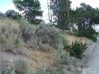 0 NNA Riverview Cemetery Road Chelan, WA 98816