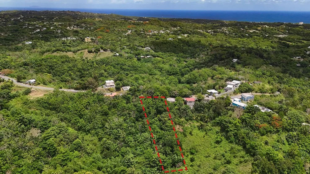 SECRET SPOT CARR 4414 Aguada, PR 00602