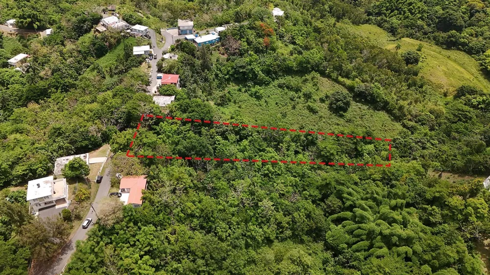 SECRET SPOT CARR 4414 Aguada, PR 00602