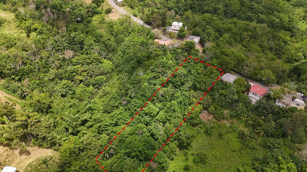 SECRET SPOT CARR 4414 Aguada, PR 00602