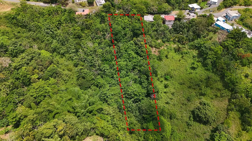 SECRET SPOT CARR 4414 Aguada, PR 00602