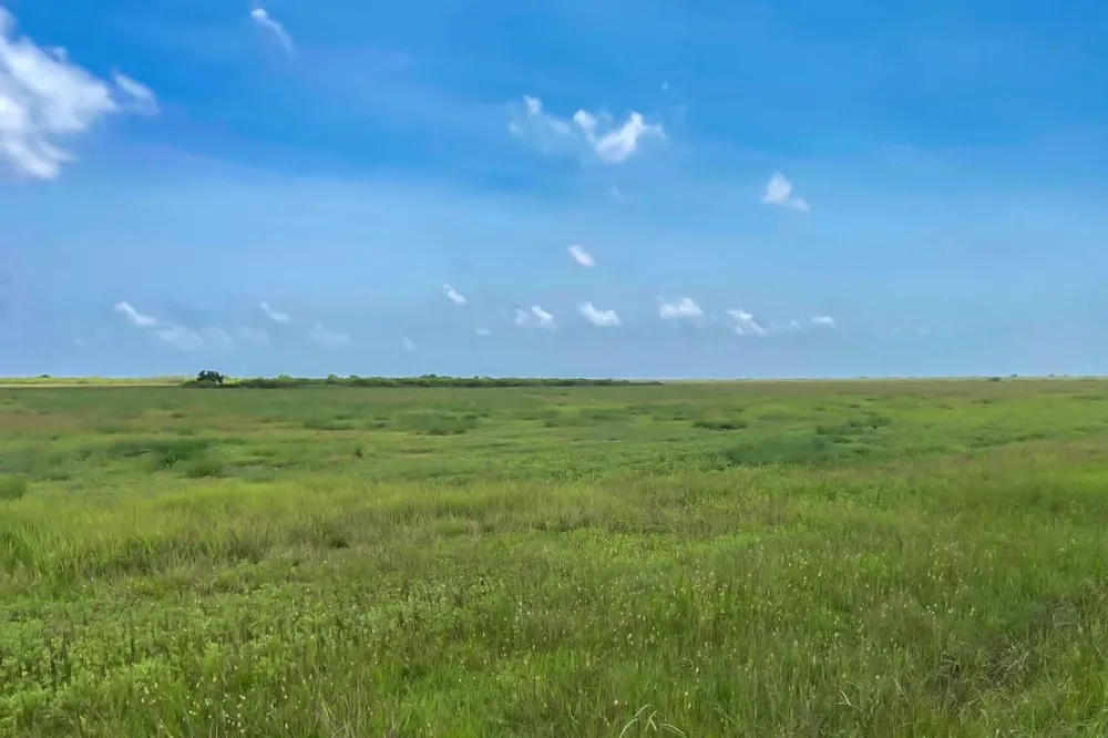 2 Chambliss Rd Sargent, TX 77414