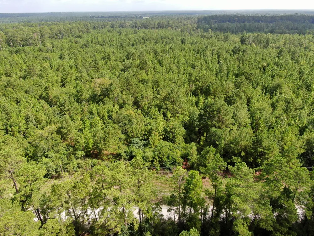 Scales Ranch Road Huntsville, TX 77320