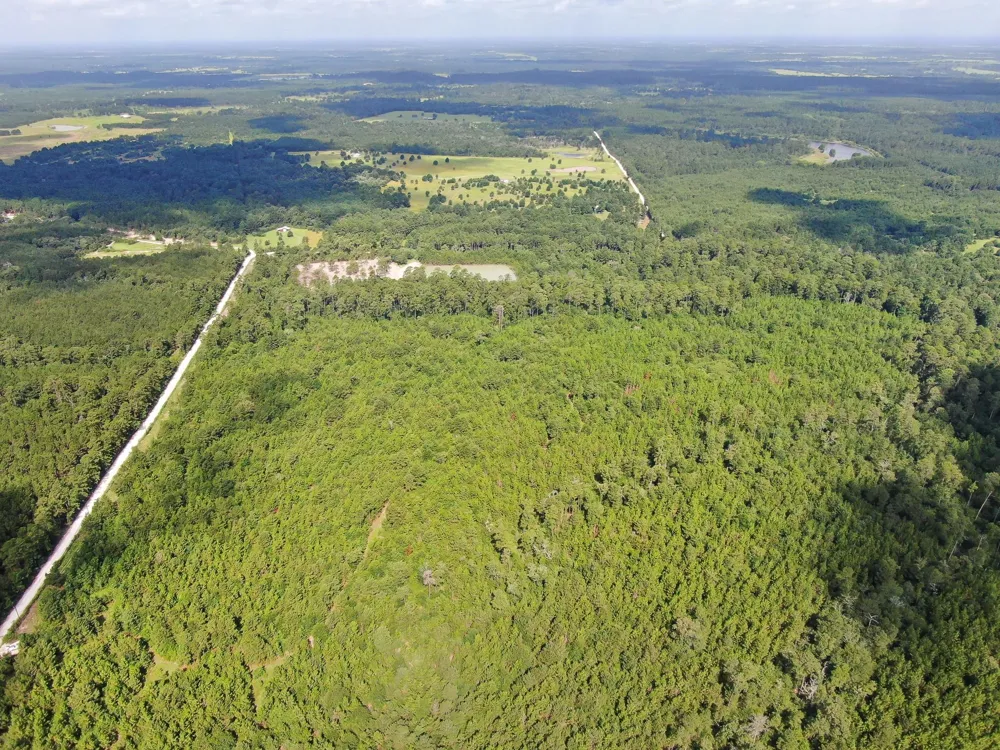 Scales Ranch Road Huntsville, TX 77320