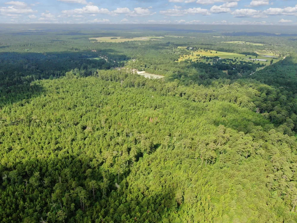 Scales Ranch Road Huntsville, TX 77320