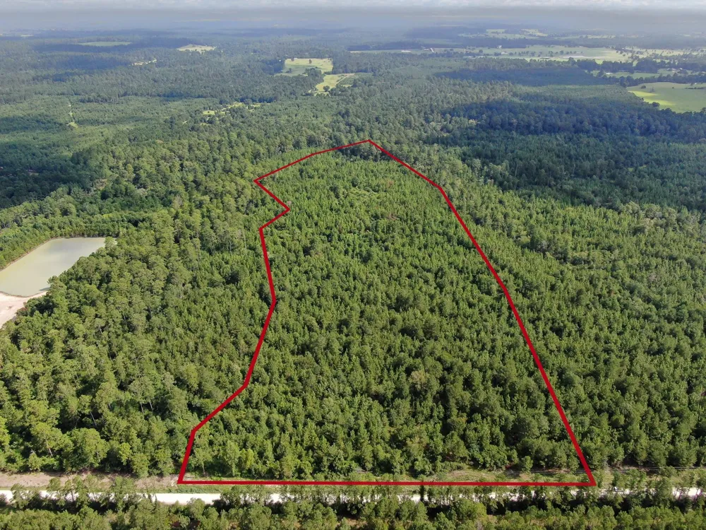 Scales Ranch Road Huntsville, TX 77320