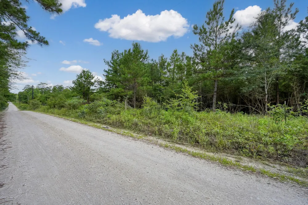 Scales Ranch Road Huntsville, TX 77320