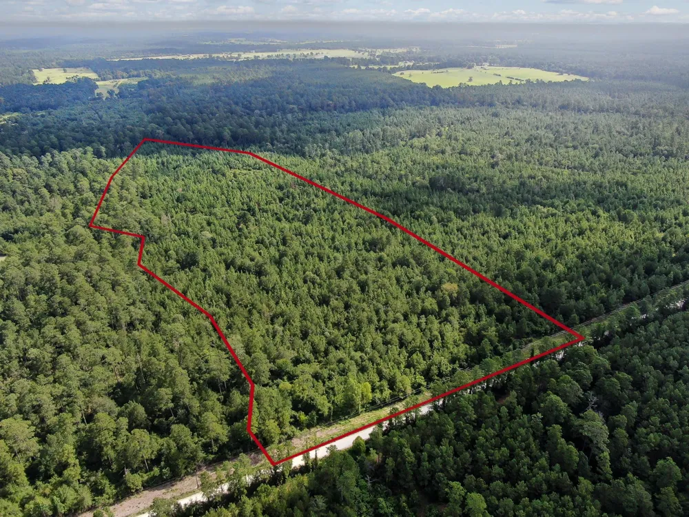 Scales Ranch Road Huntsville, TX 77320