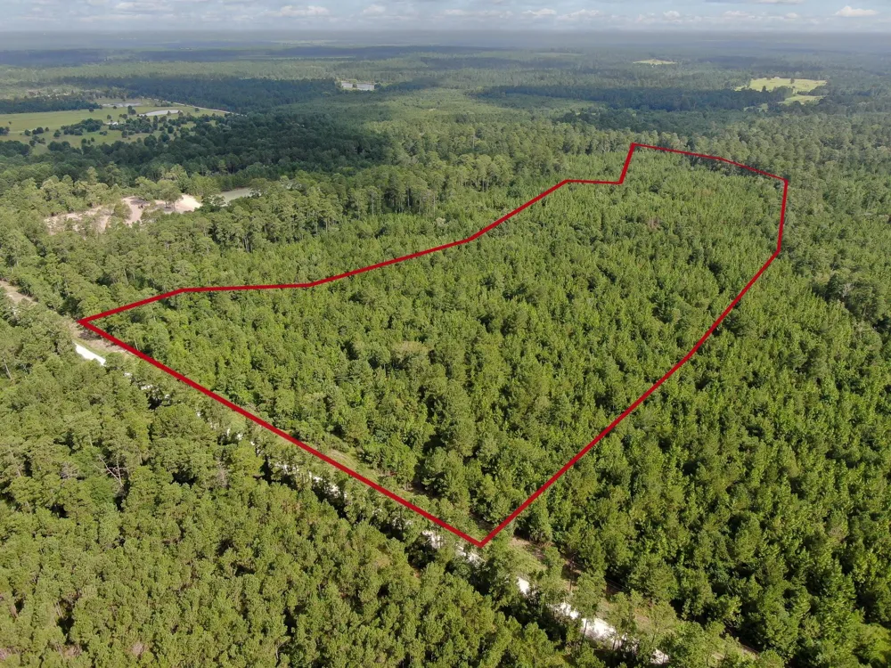 Scales Ranch Road Huntsville, TX 77320