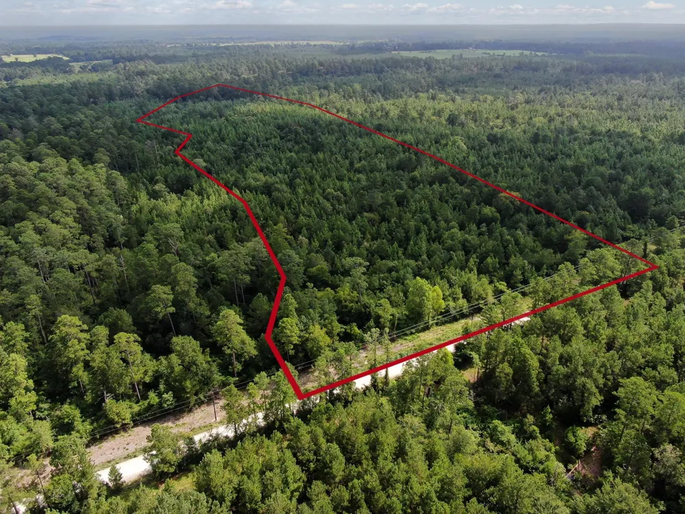 Scales Ranch Road Huntsville, TX 77320