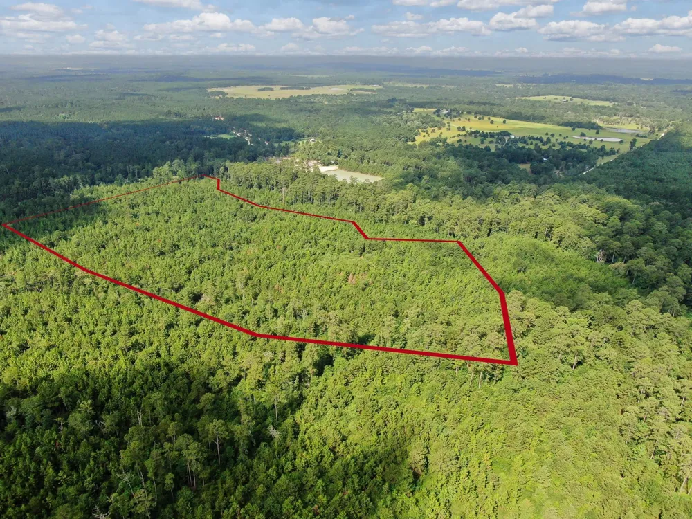 Scales Ranch Road Huntsville, TX 77320