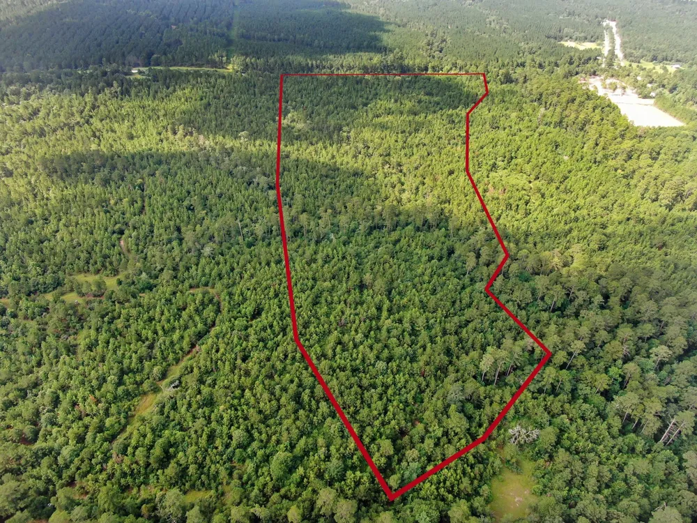 Scales Ranch Road Huntsville, TX 77320