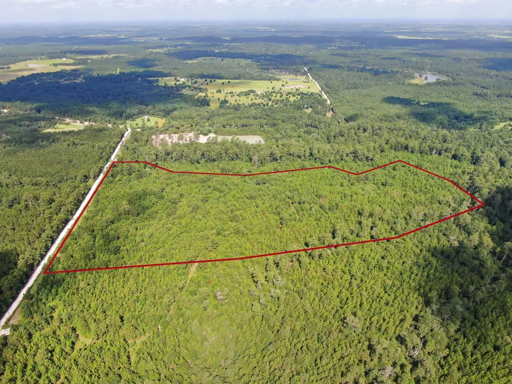 Scales Ranch Road Huntsville, TX 77320