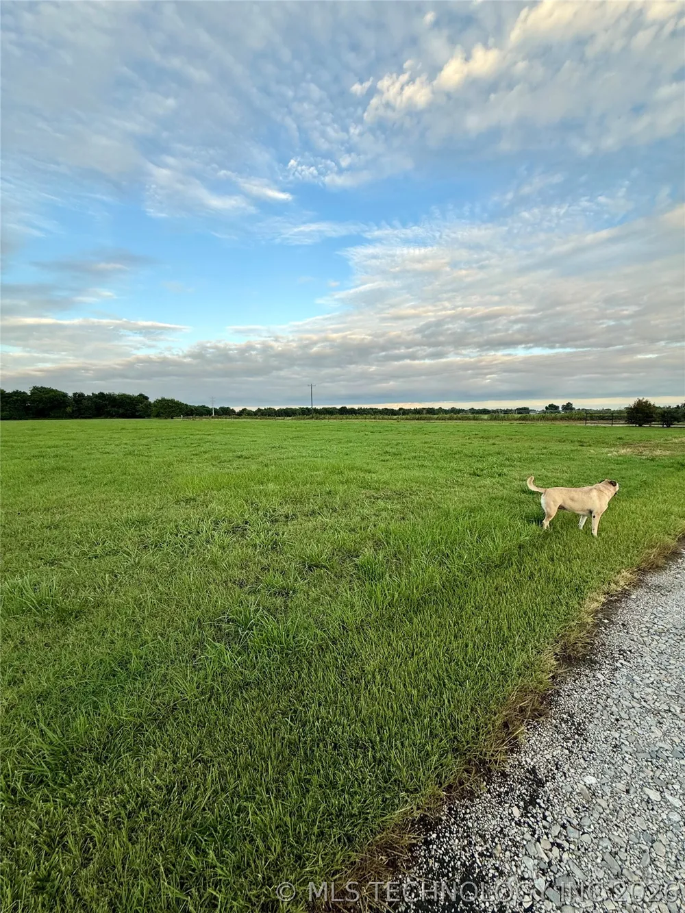 3 Dairy Drive Hendrix, OK 74741