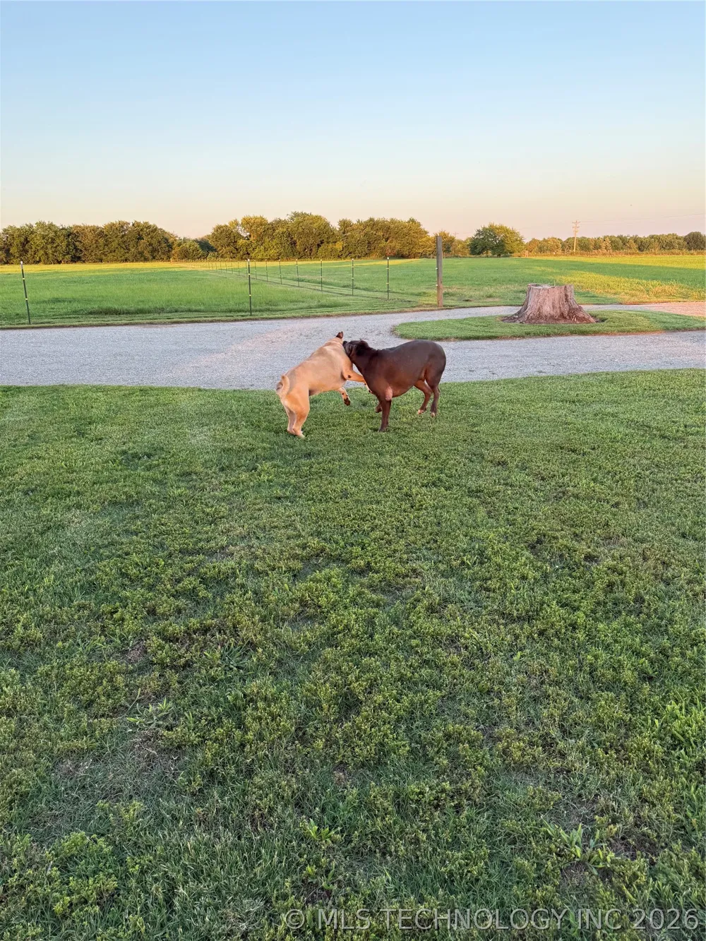 2 Dairy Drive Hendrix, OK 74741