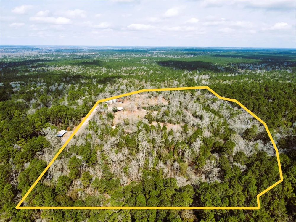 12848 Old Little Road Conroe, TX 77303