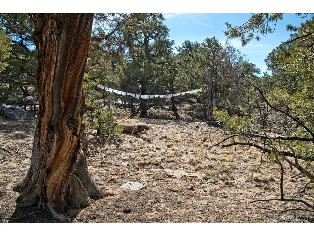 3519 Forest Trail Ol Crestone, CO 81131