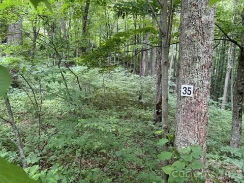 Lot 35 Odalu Trail #35