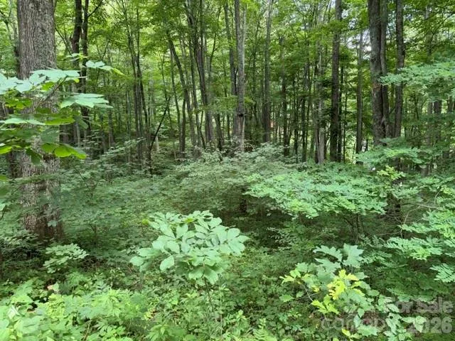 Lot 35 Odalu Trail #35 Maggie Valley, NC 28751
