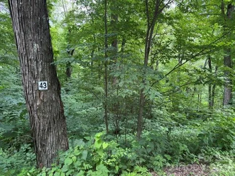 Lot 43 Gata Trail #43