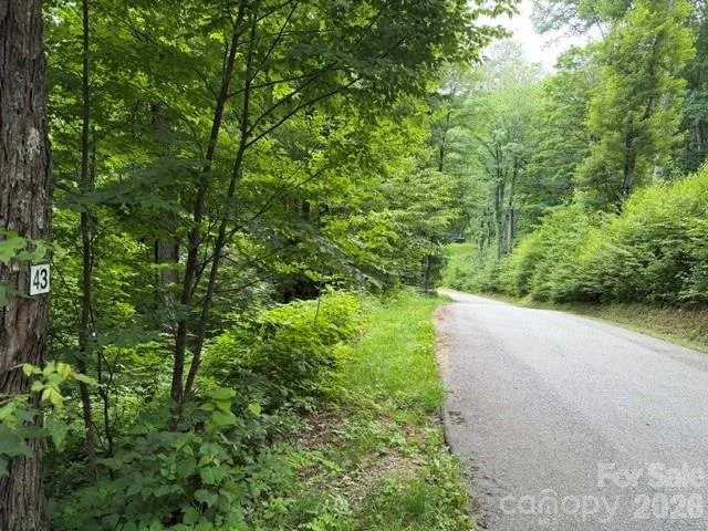 Lot 43 Gata Trail #43 Maggie Valley, NC 28751