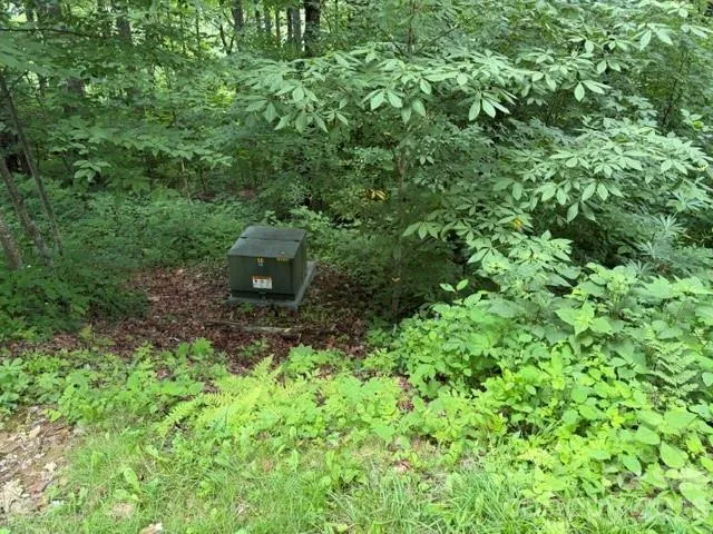 Lot 43 Gata Trail #43 Maggie Valley, NC 28751