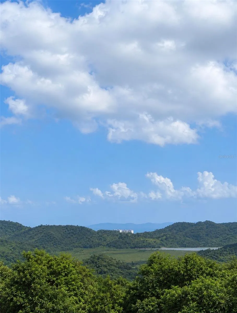 FINCAS DE NARANJO Fajardo, PR 00738