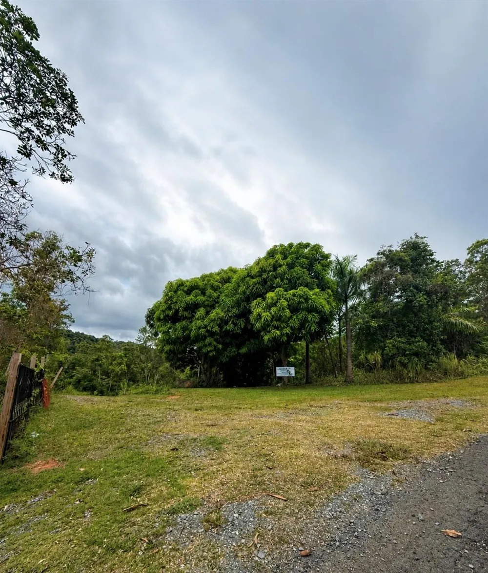 FINCAS DE NARANJO Fajardo, PR 00738