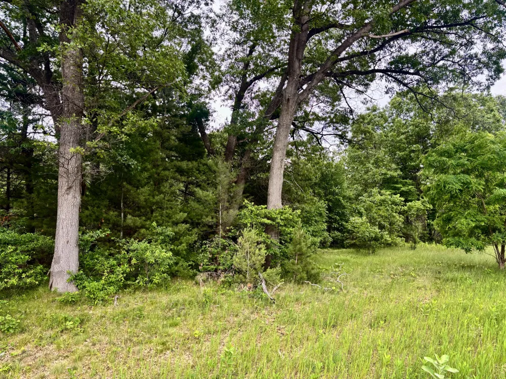Whitehall Rd Whitehall, MI 49461