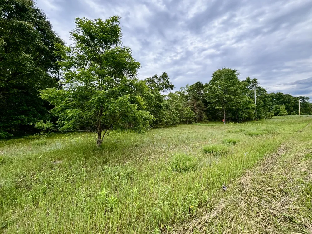 Whitehall Rd Whitehall, MI 49461