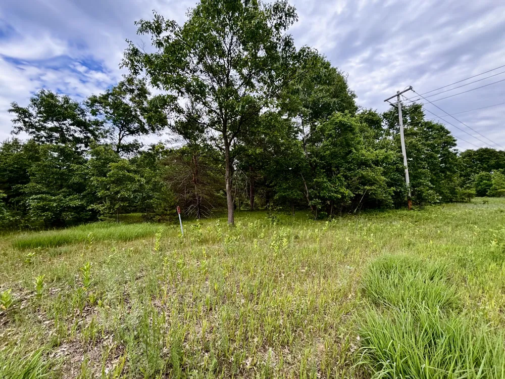 Whitehall Rd Whitehall, MI 49461