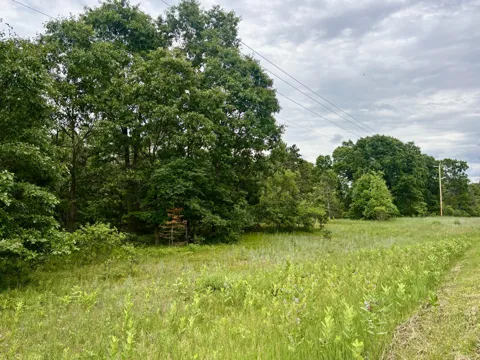 Whitehall Rd