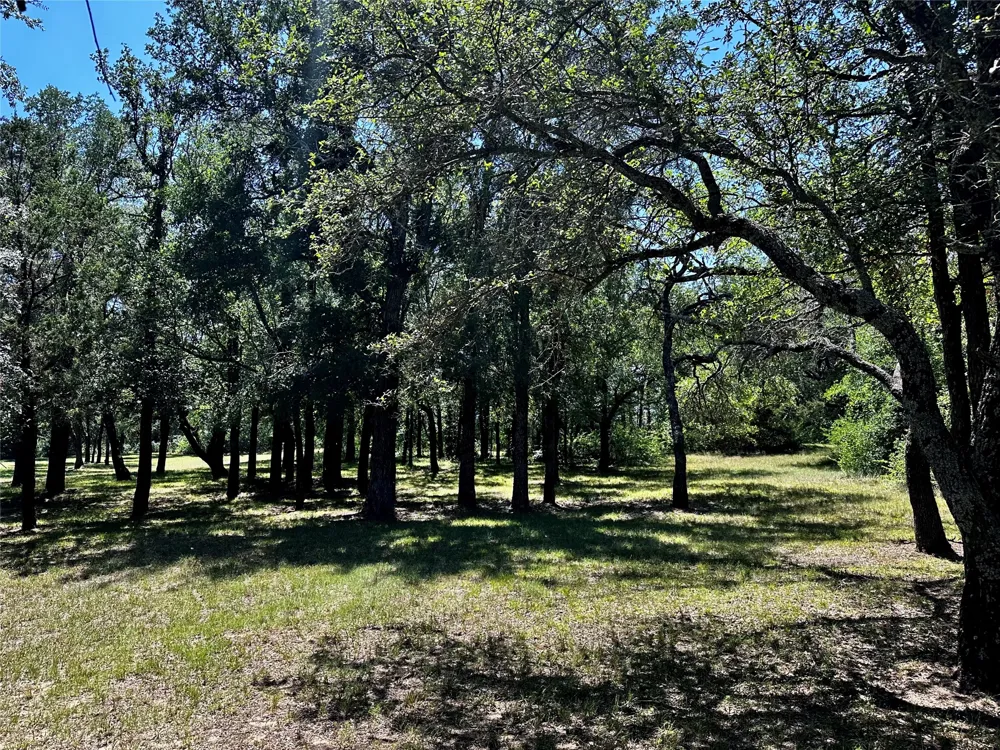 15541 County Road 409 Cisco, TX 76437