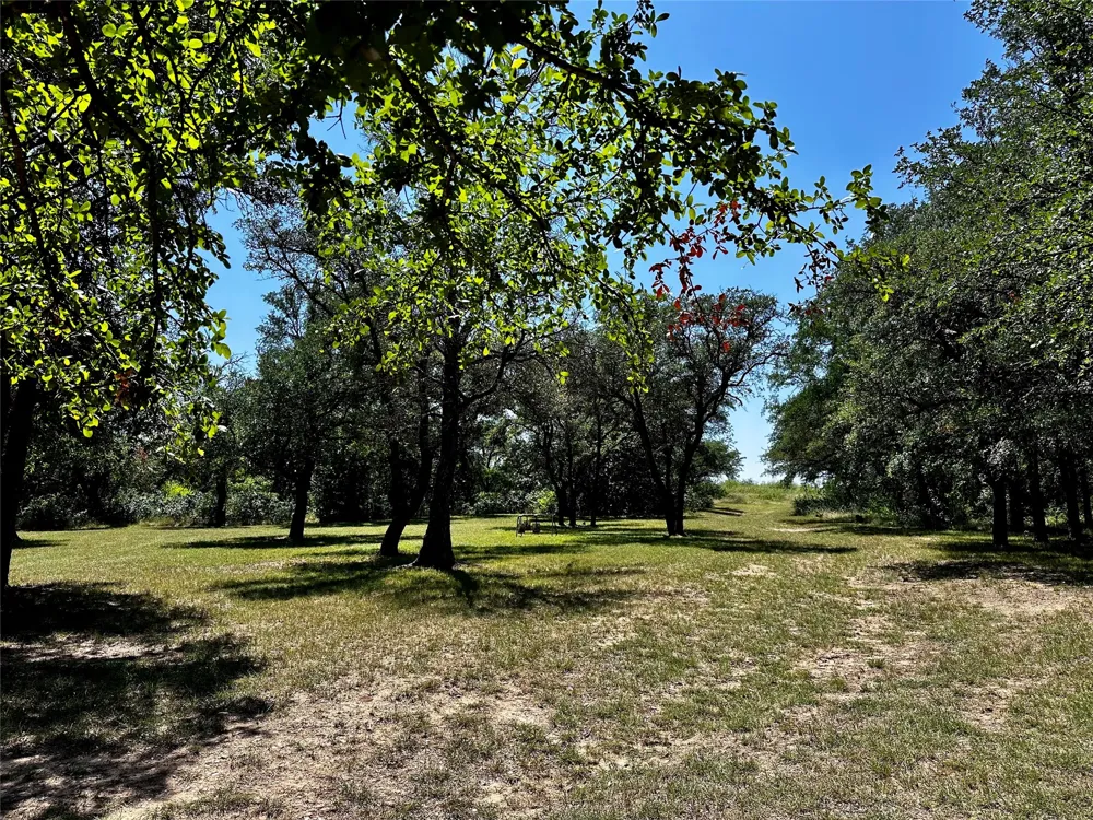 15541 County Road 409 Cisco, TX 76437