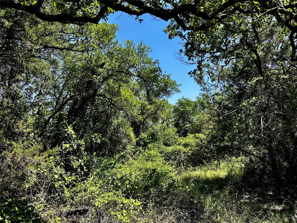 15541 County Road 409 Cisco, TX 76437