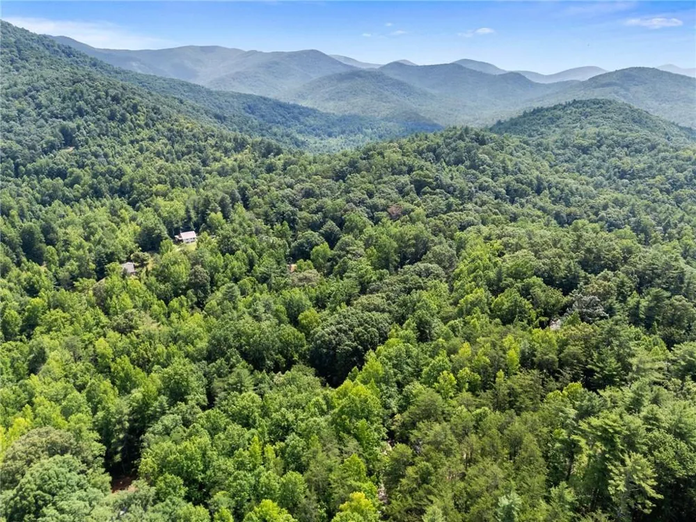 218 Hester Gap Road Cleveland, GA 30528