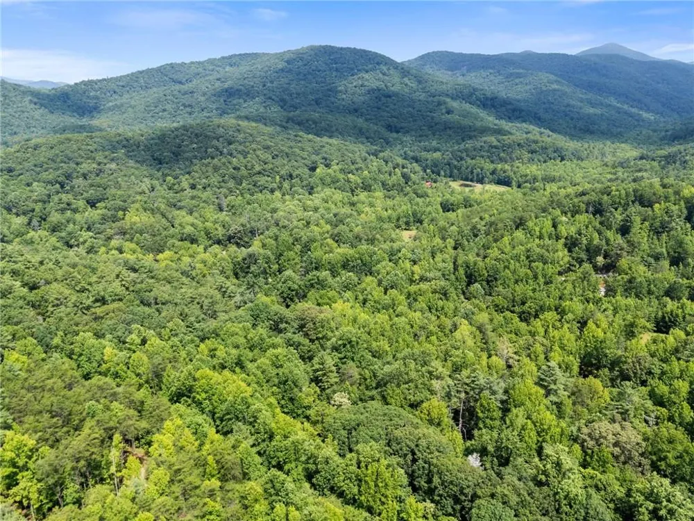 218 Hester Gap Road Cleveland, GA 30528