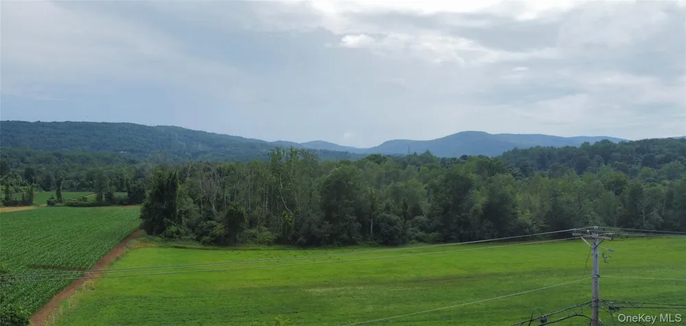 319 Blue Hill Road Hopewell Junction, NY 12533