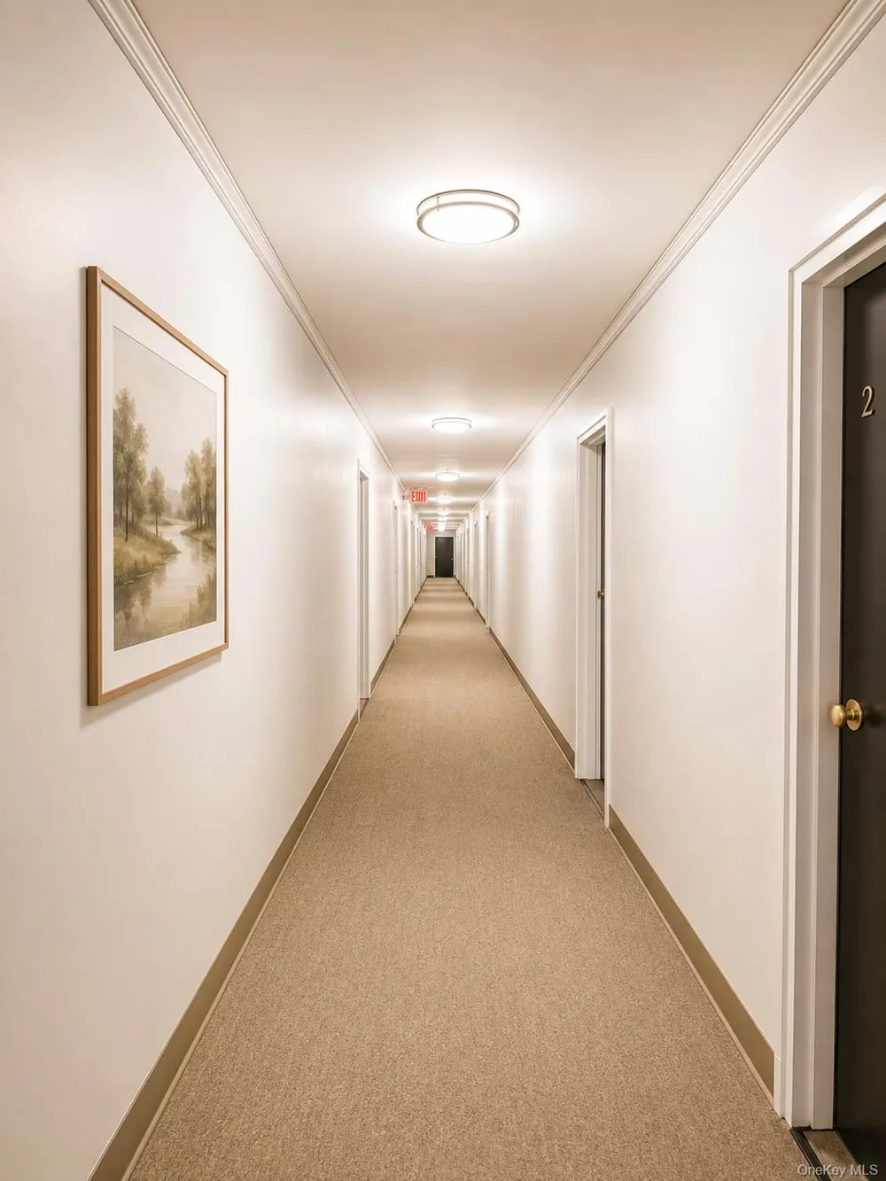 131-11 kew gardens Road #4H Richmond Hill, NY 11418