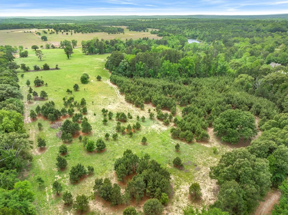 SH-110 Tyler, TX 75704