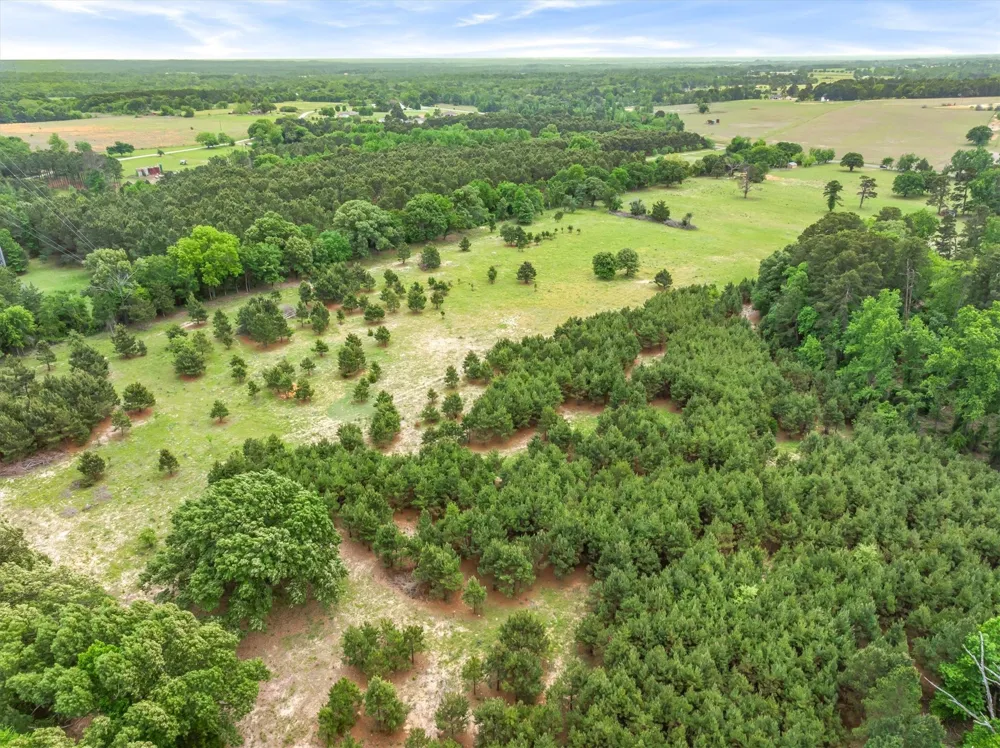 SH-110 Tyler, TX 75704